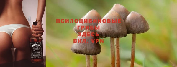 соль курить ск Горнозаводск