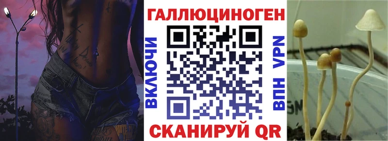 Псилоцибиновые грибы Psilocybine cubensis  Старый Крым 