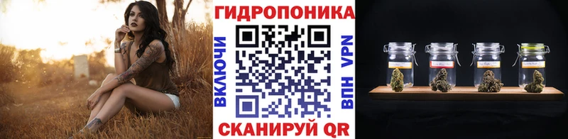Каннабис Amnesia  Старый Крым 